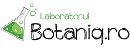 Laboratorul Botaniq - Sănătate & Wellness